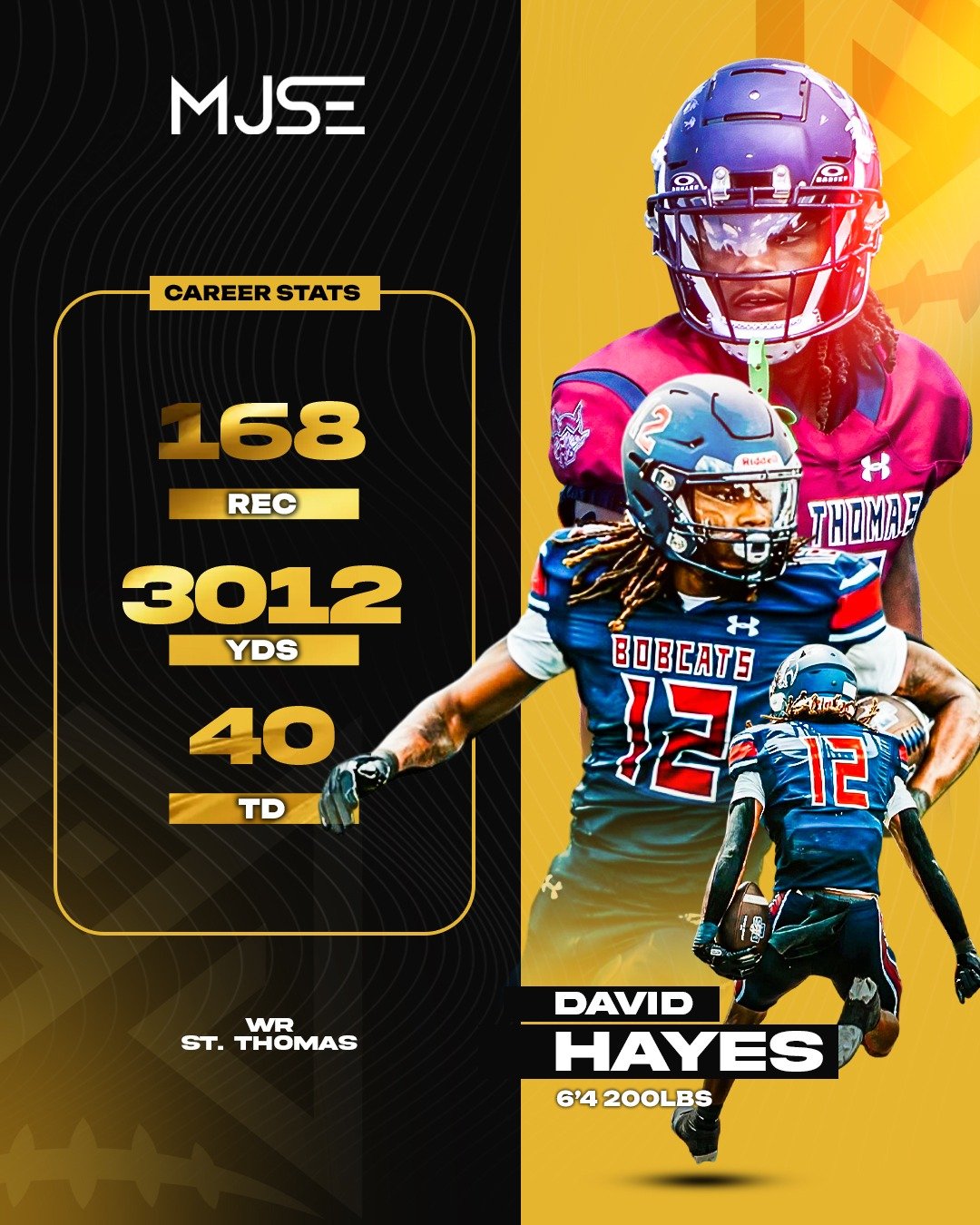 David Hayes Football Stats